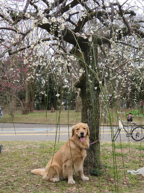 ファイル 7489-4.jpg