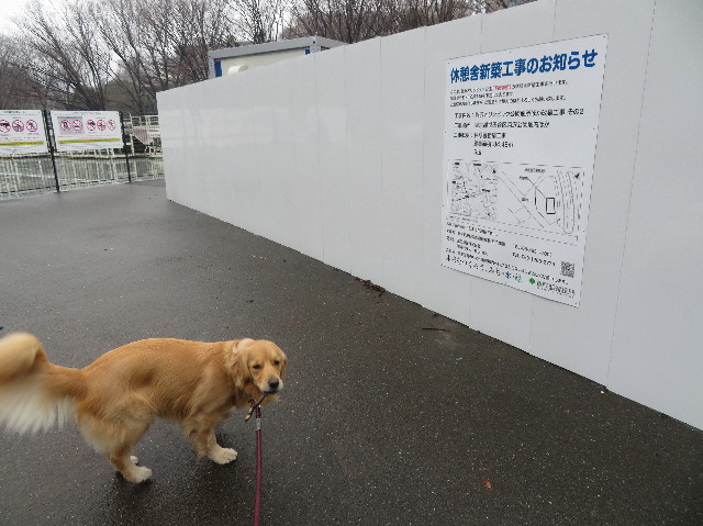 ファイル 7491-4.jpg