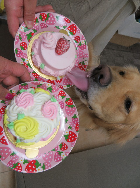 ファイル 7491-5.jpg