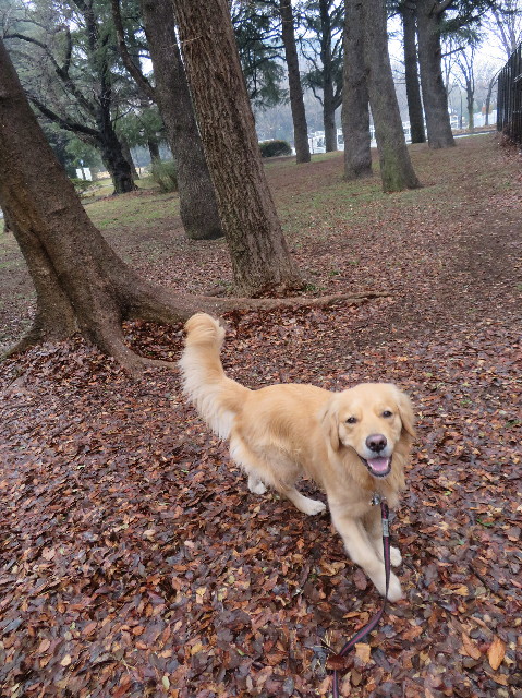 ファイル 7492-4.jpg