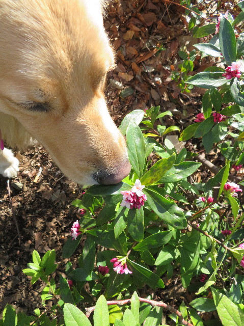 ファイル 7493-2.jpg