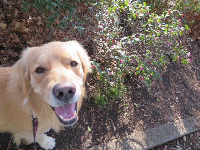 ファイル 7493-3.jpg