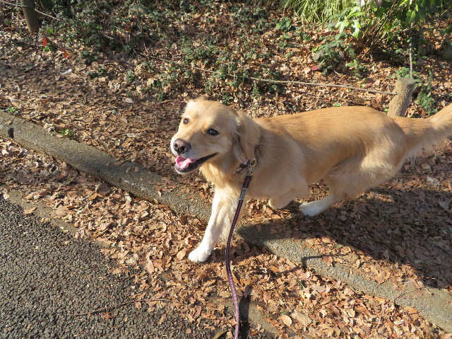 ファイル 7493-4.jpg