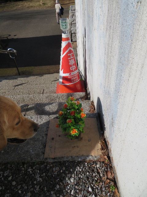 ファイル 7494-2.jpg