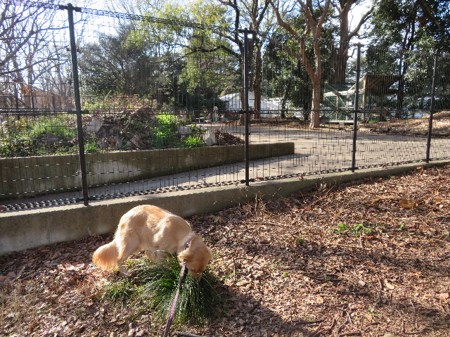 ファイル 7494-3.jpg