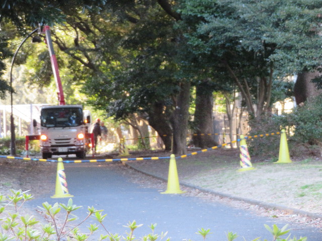 ファイル 7494-5.jpg