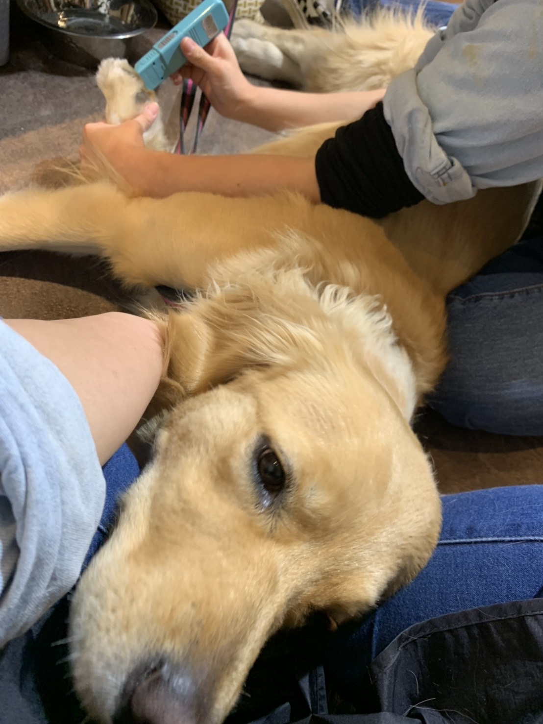 ファイル 7495-2.jpg