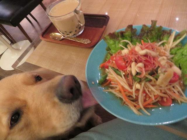 ファイル 7495-4.jpg