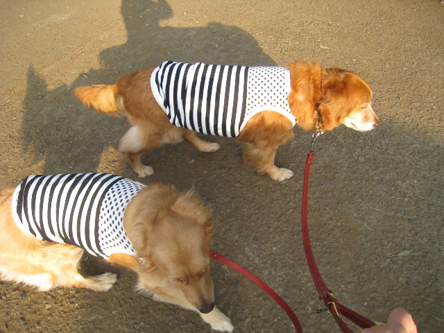 ファイル 750-2.jpg