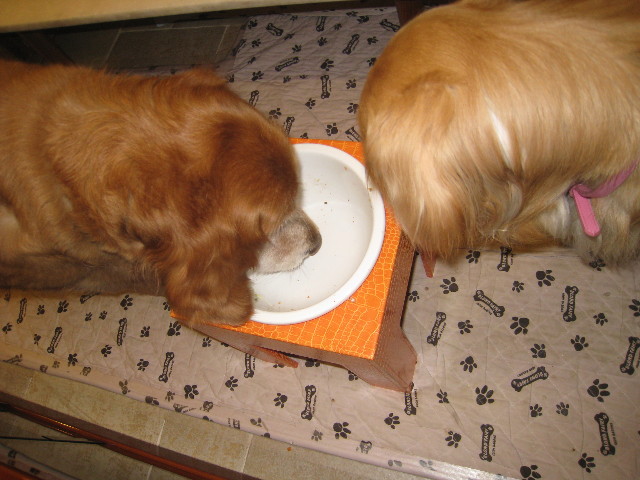 ファイル 750-3.jpg