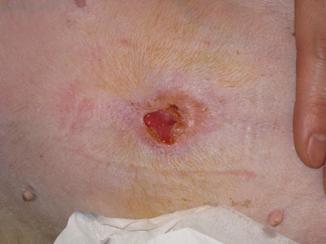 ファイル 750-5.jpg