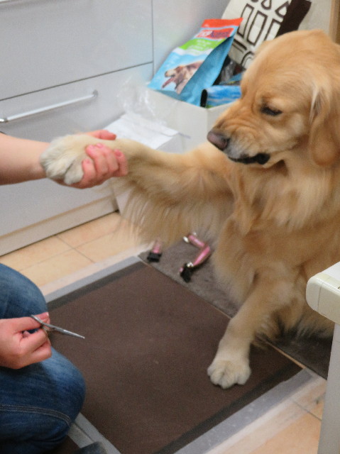 ファイル 7500-1.jpg