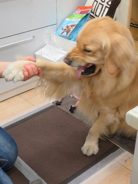 ファイル 7500-2.jpg