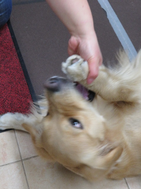 ファイル 7500-5.jpg