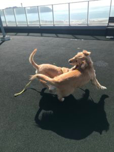 ファイル 7501-3.jpg