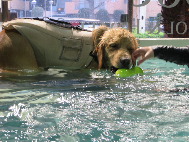 ファイル 7503-3.jpg