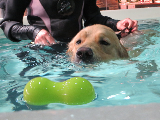 ファイル 7503-4.jpg