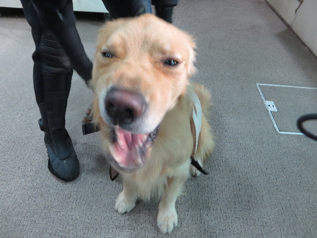 ファイル 7503-5.jpg