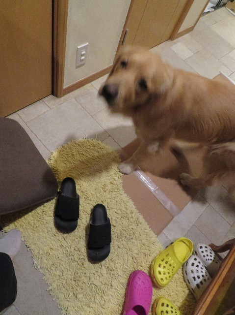 ファイル 7505-4.jpg