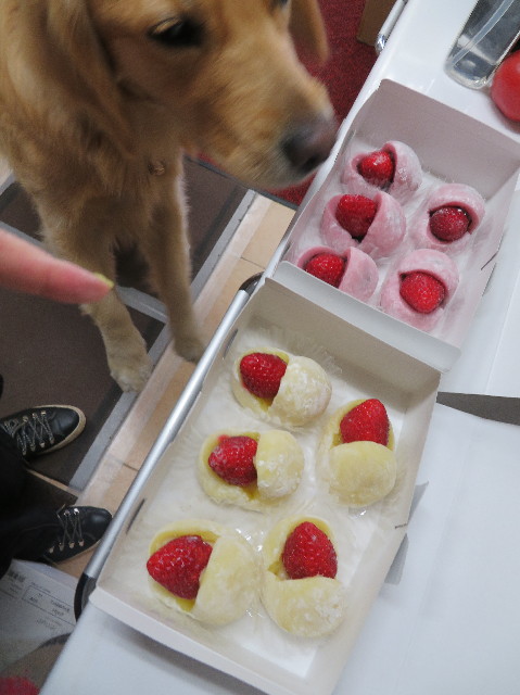 ファイル 7508-1.jpg