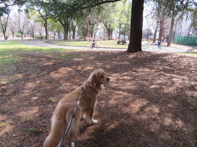 ファイル 7508-3.jpg