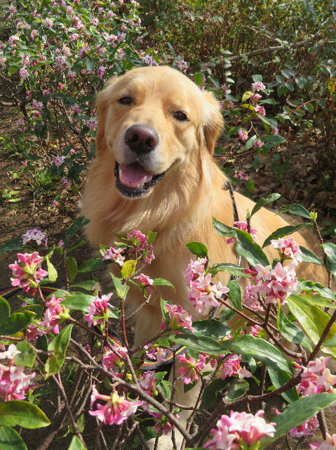 ファイル 7508-4.jpg