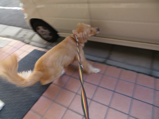 ファイル 7509-1.jpg