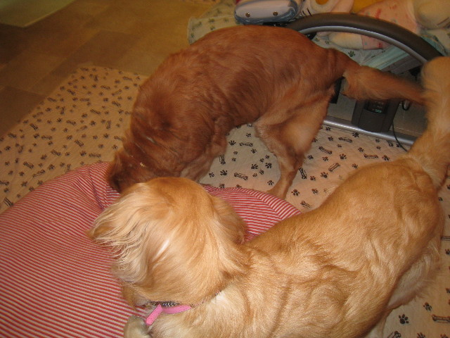 ファイル 751-1.jpg