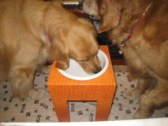 ファイル 751-2.jpg