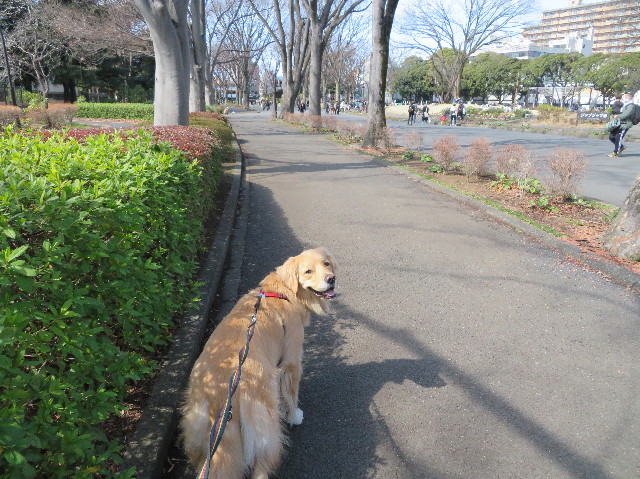 ファイル 7510-3.jpg