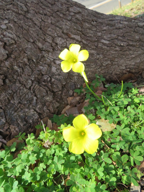 ファイル 7510-5.jpg