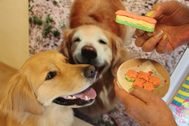 ファイル 7511-3.jpg