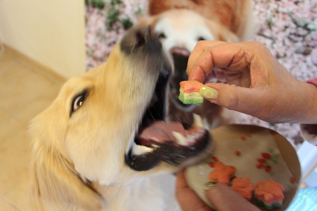 ファイル 7511-4.jpg