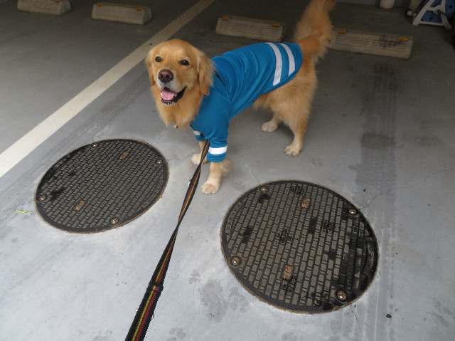 ファイル 7519-1.jpg