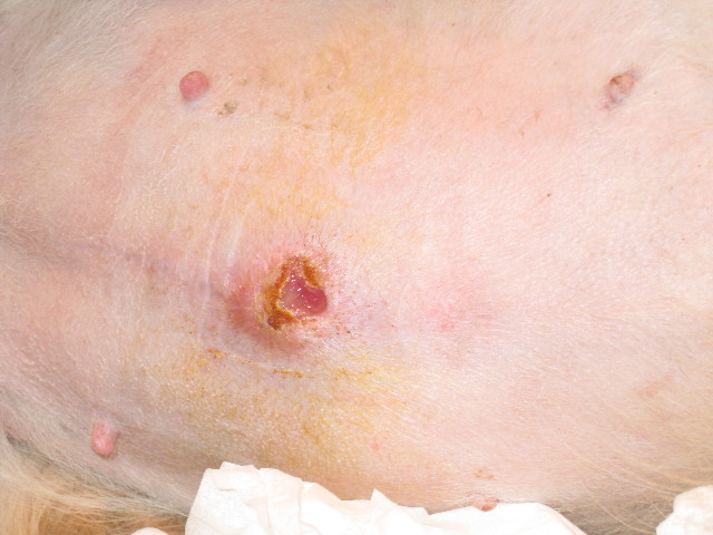 ファイル 752-2.jpg