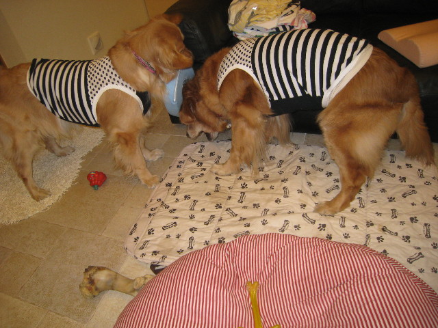 ファイル 752-4.jpg