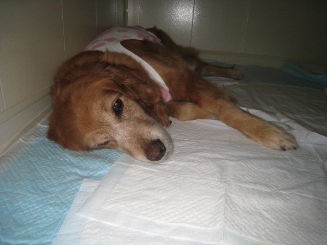 ファイル 752-5.jpg