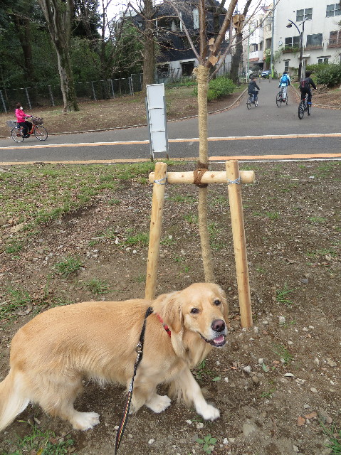 ファイル 7521-4.jpg