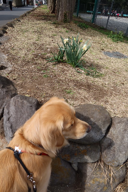 ファイル 7523-4.jpg