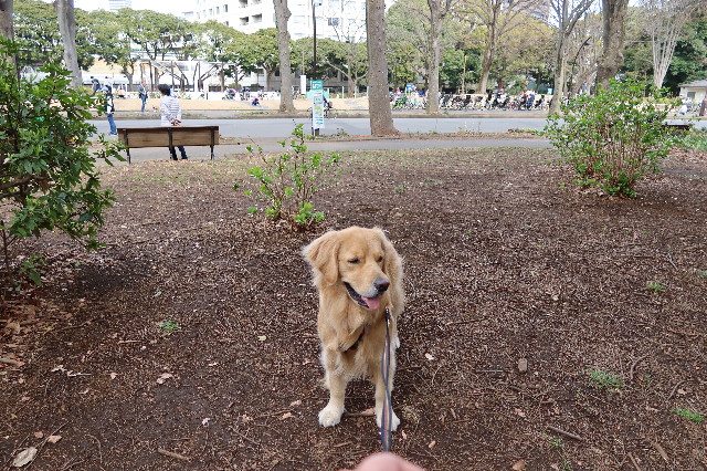 ファイル 7523-5.jpg