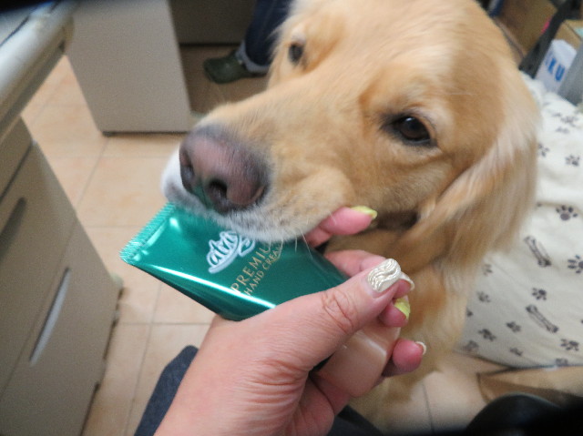 ファイル 7524-1.jpg