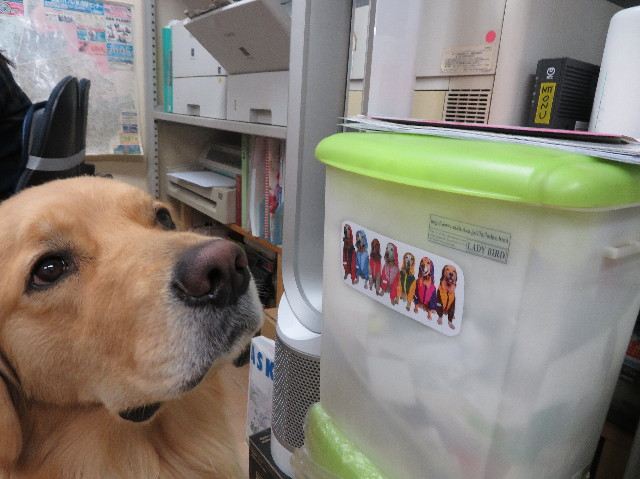 ファイル 7524-3.jpg