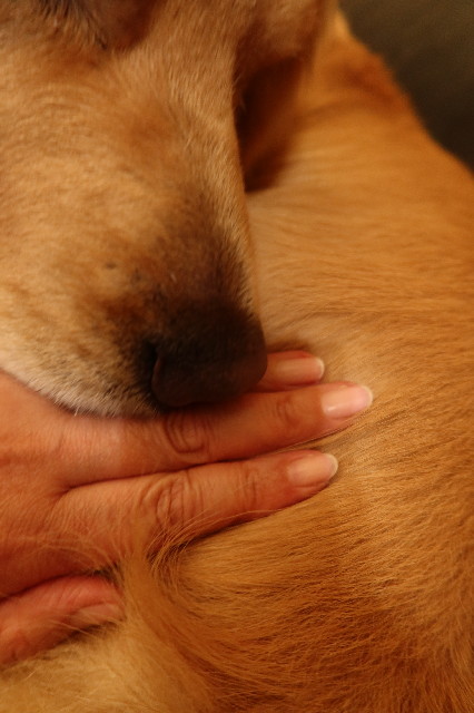 ファイル 7527-5.jpg