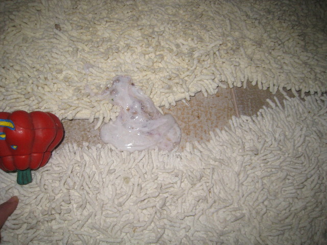 ファイル 753-1.jpg