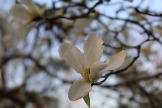 ファイル 7530-4.jpg