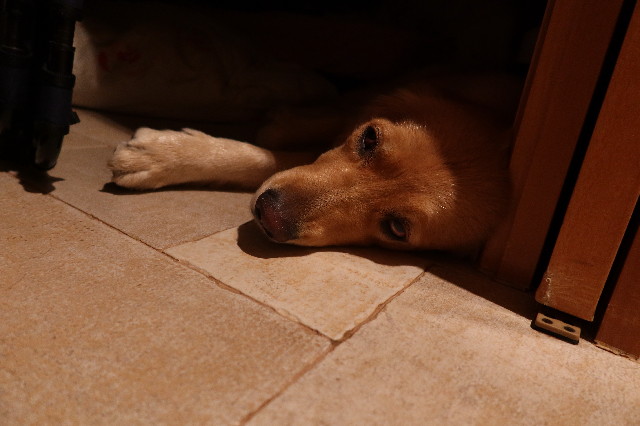 ファイル 7536-1.jpg