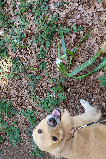 ファイル 7536-4.jpg