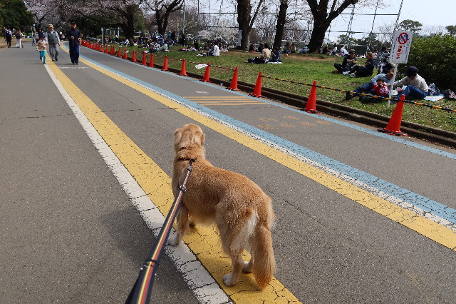 ファイル 7537-2.jpg