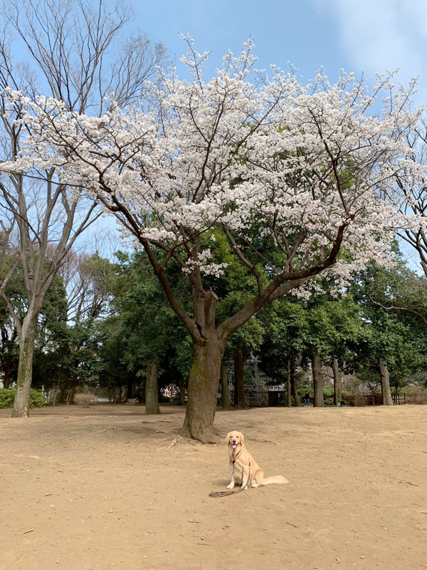 ファイル 7537-5.jpg