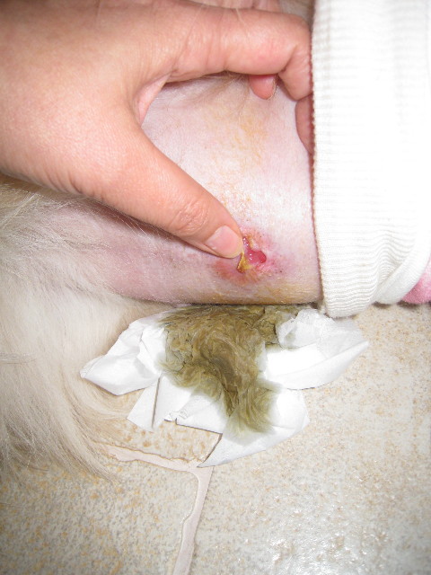 ファイル 754-2.jpg